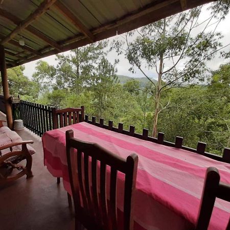 Biwon Homestay إيلا المظهر الخارجي الصورة