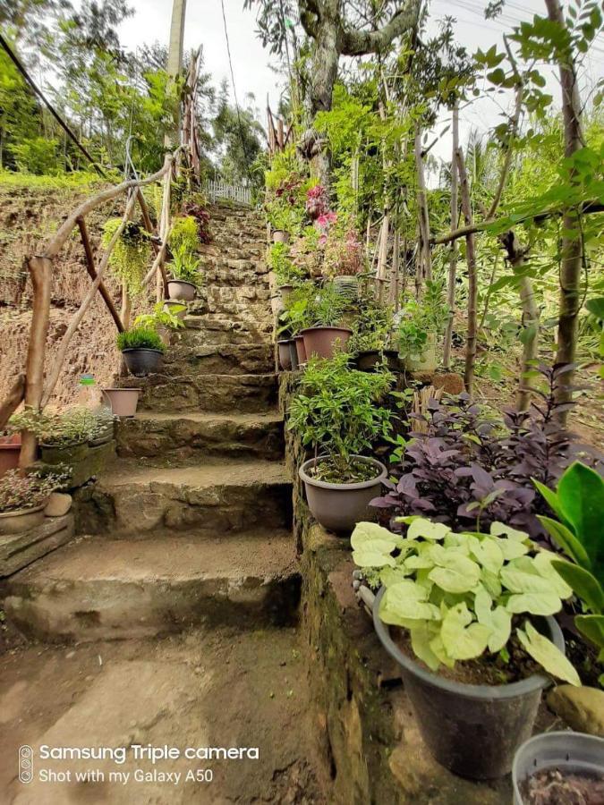 Biwon Homestay إيلا المظهر الخارجي الصورة
