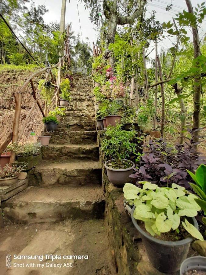 Biwon Homestay إيلا المظهر الخارجي الصورة